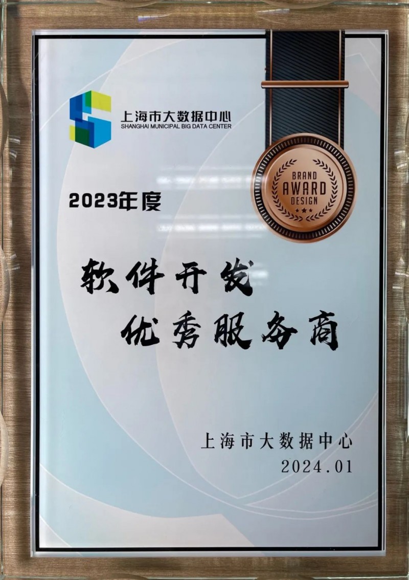 上海软件开发：紧跟时代步伐的数字引擎